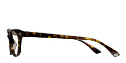 Amelia E. Louisa Tortoise glasses - Tortoise - Side View