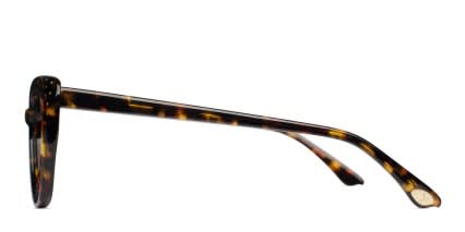 Amelia E. Grahame Tortoise glasses - Tortoise - Side View