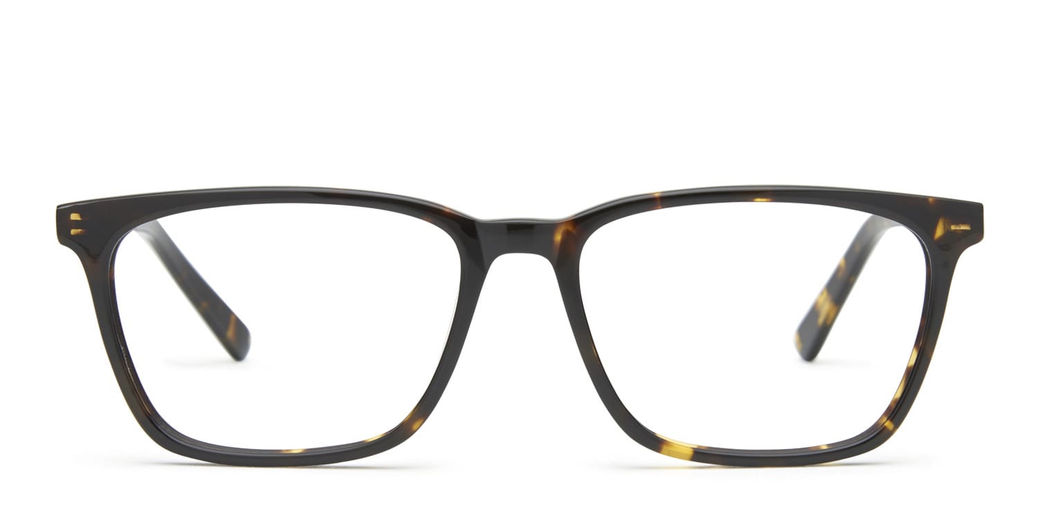 Emily Tortoise glasses - Tortoise - Frontal View