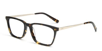 Emily Tortoise glasses - Tortoise - Angle View