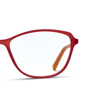 frame