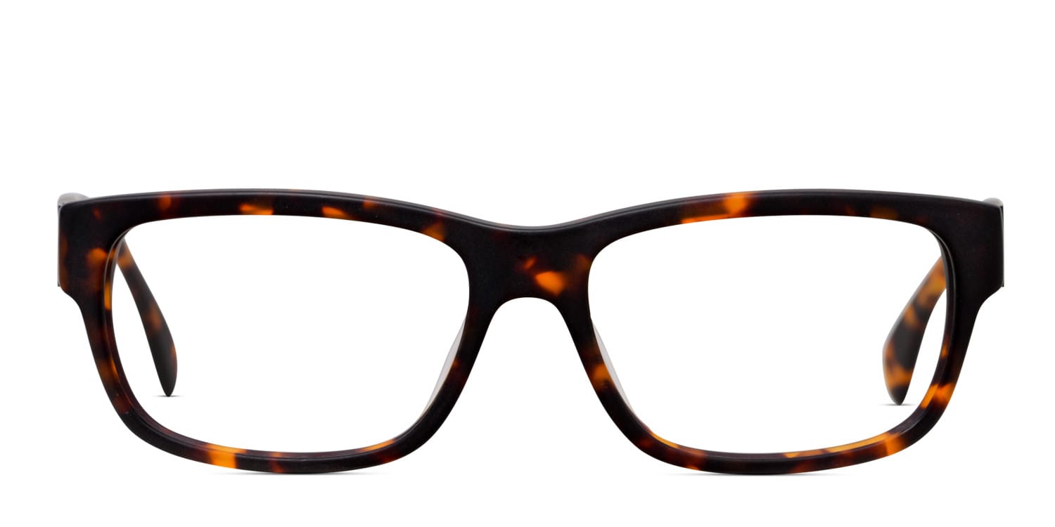 Amelia E. Marty Tortoise glasses - Tortoise - Frontal View