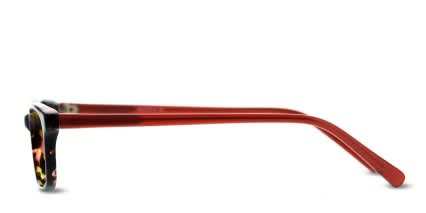 Massa Tortoise/Red glasses - Red / Tortoise - Side View