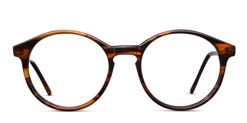 Michelle Moretti 503 Brown NA glasses - Brown - Frontal View