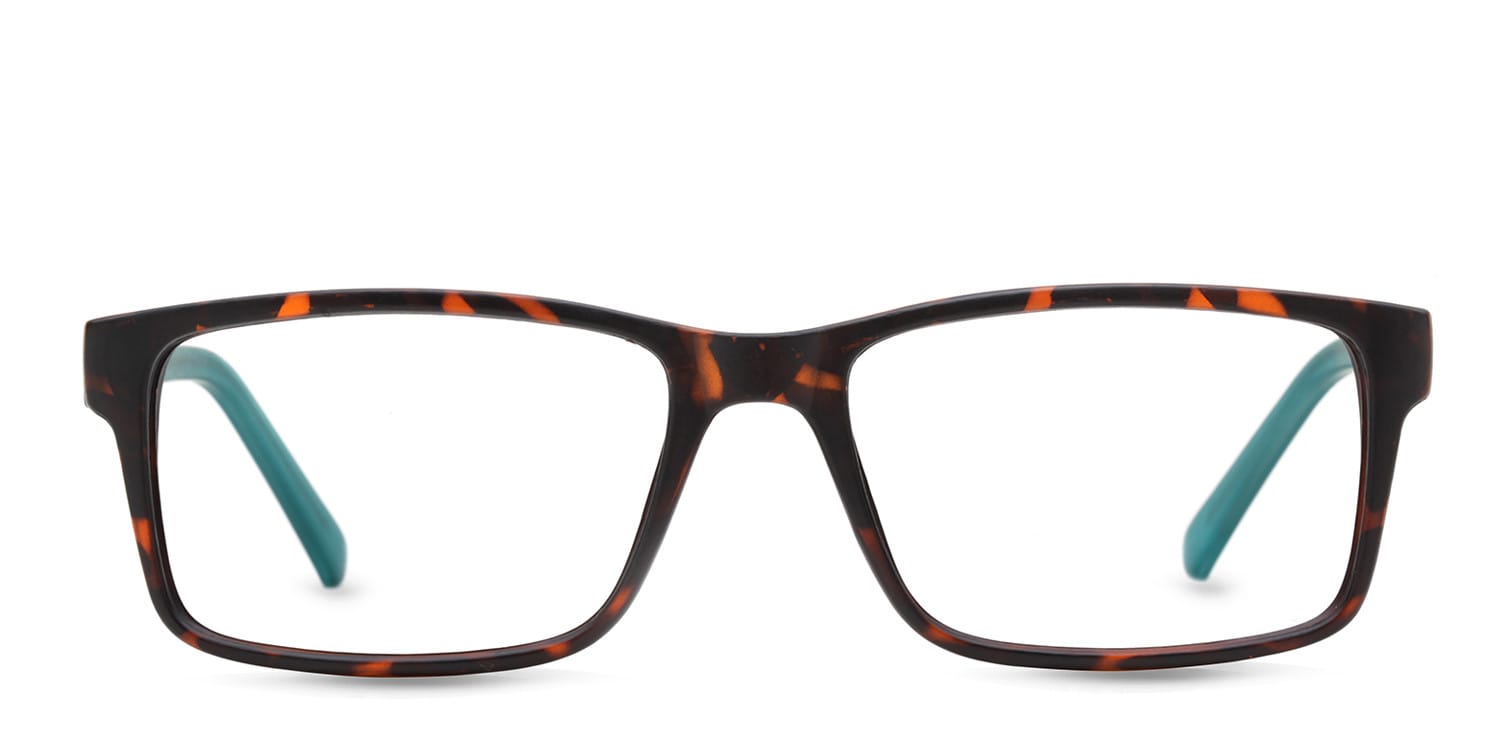 Danny Tortoise w/Green glasses - Tortoise / Green - Frontal View
