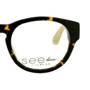 frame