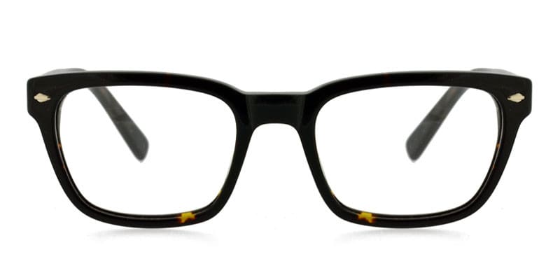 Carter Tortoise glasses - Tortoise - Frontal View