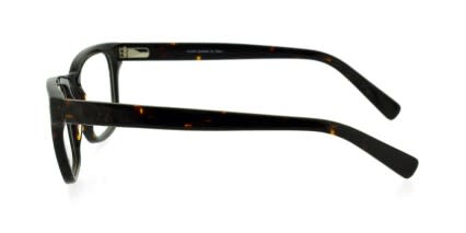 Carter Tortoise glasses - Tortoise - Side View