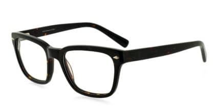 Carter Tortoise glasses - Tortoise - Angle View