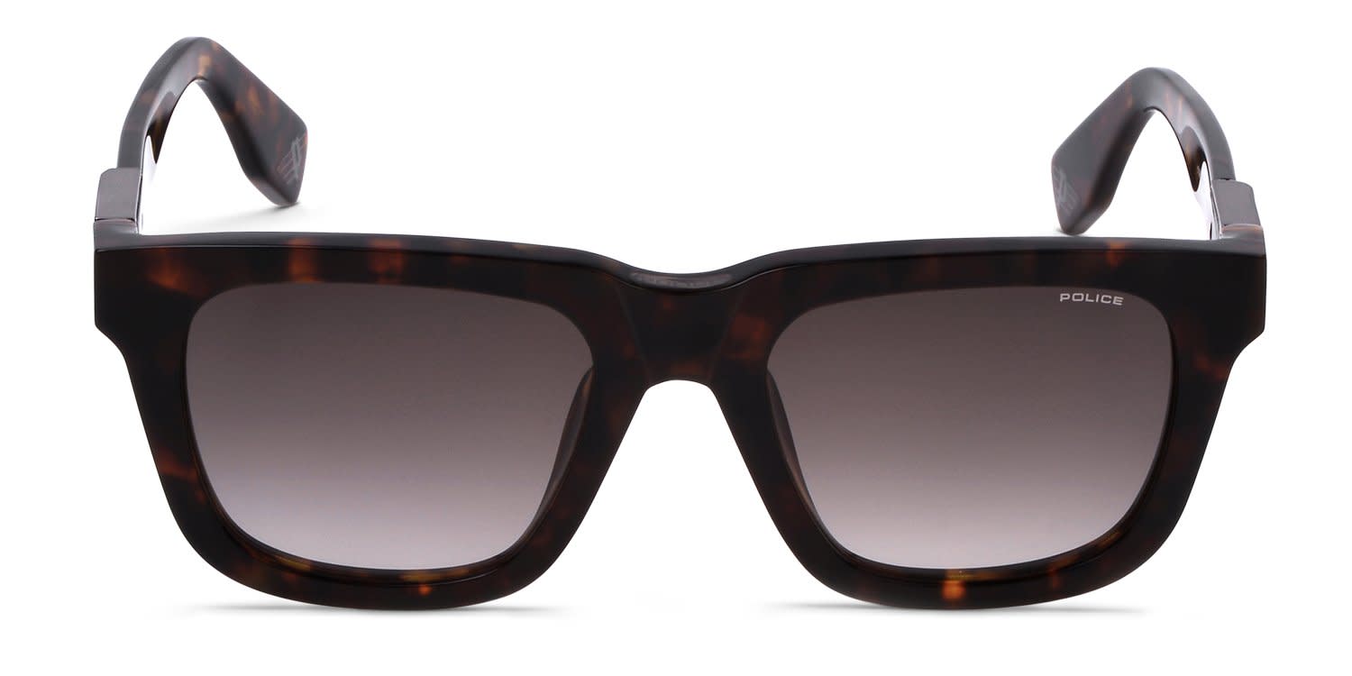 Police Forever 1 SPLN43 Tortoise glasses - Tortoise - Frontal View