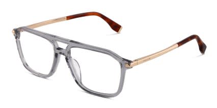Police Elite 4 VPLU59 Gray, Clear glasses - Gray / Clear - Angle View