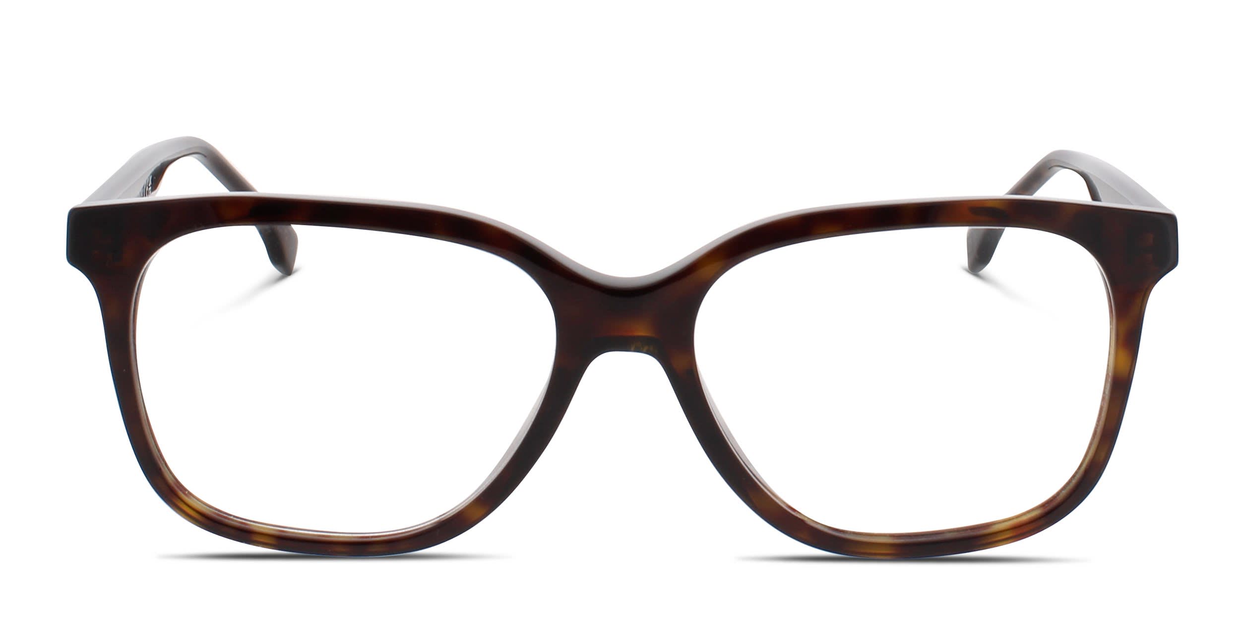 Fendi FE50090I Tortoise glasses - Tortoise - Frontal View