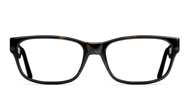 Brampton Dark Tortoise w/Black glasses - Black / Tortoise - Frontal View