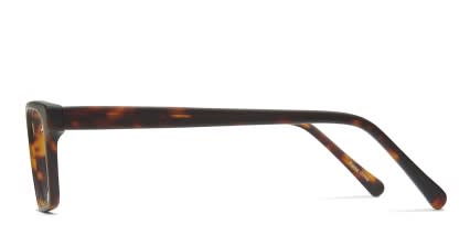 Gene Tortoise glasses - Tortoise - Side View