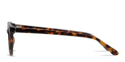 Muse X Hilary Duff Hetty Tortoise glasses - Tortoise - Side View
