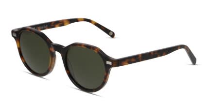 Muse X Hilary Duff Diana Tortoise glasses - Tortoise - Angle View