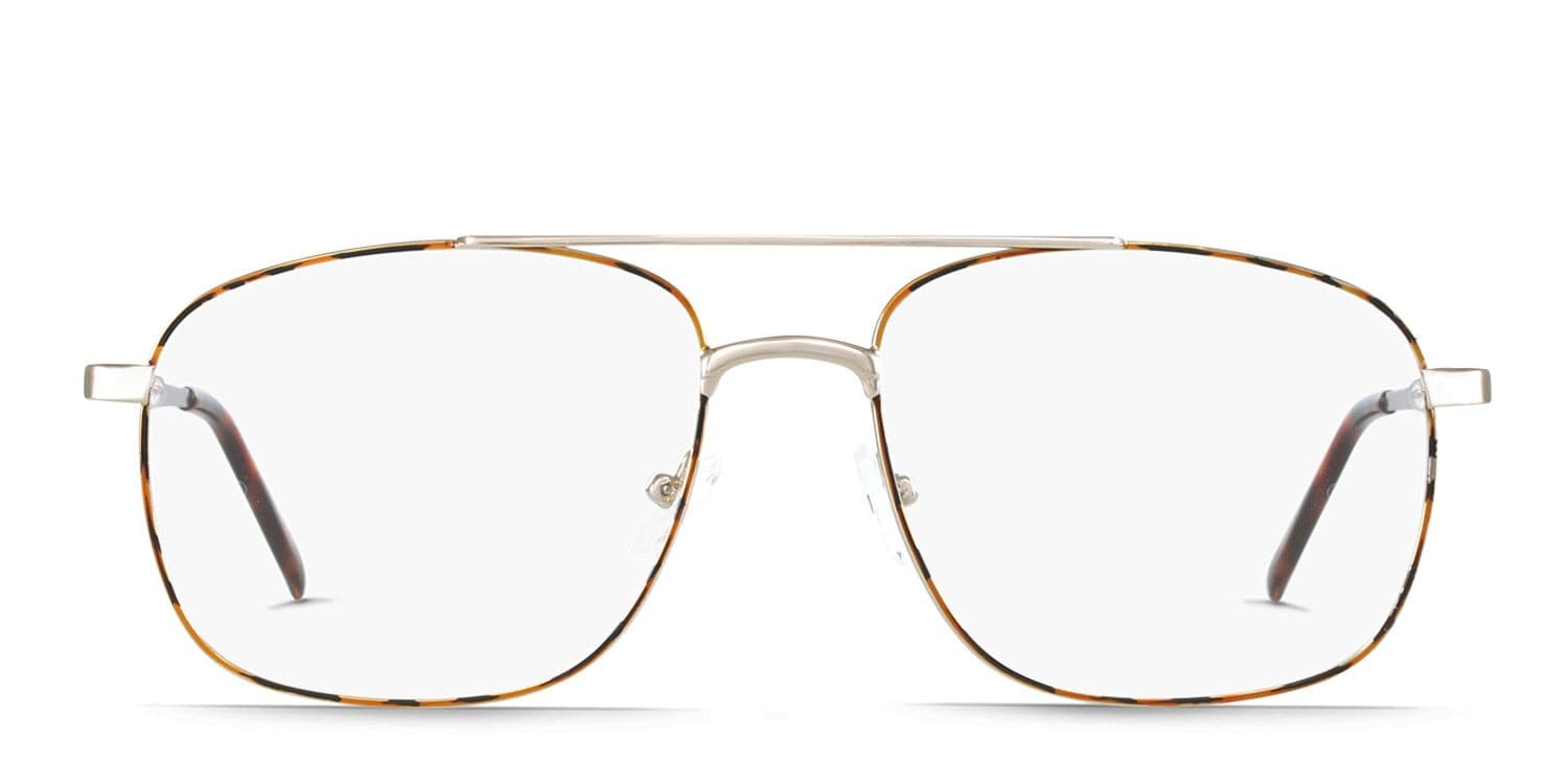 Olive Gold w/Tortoise glasses - Tortoise / Gold - Frontal View