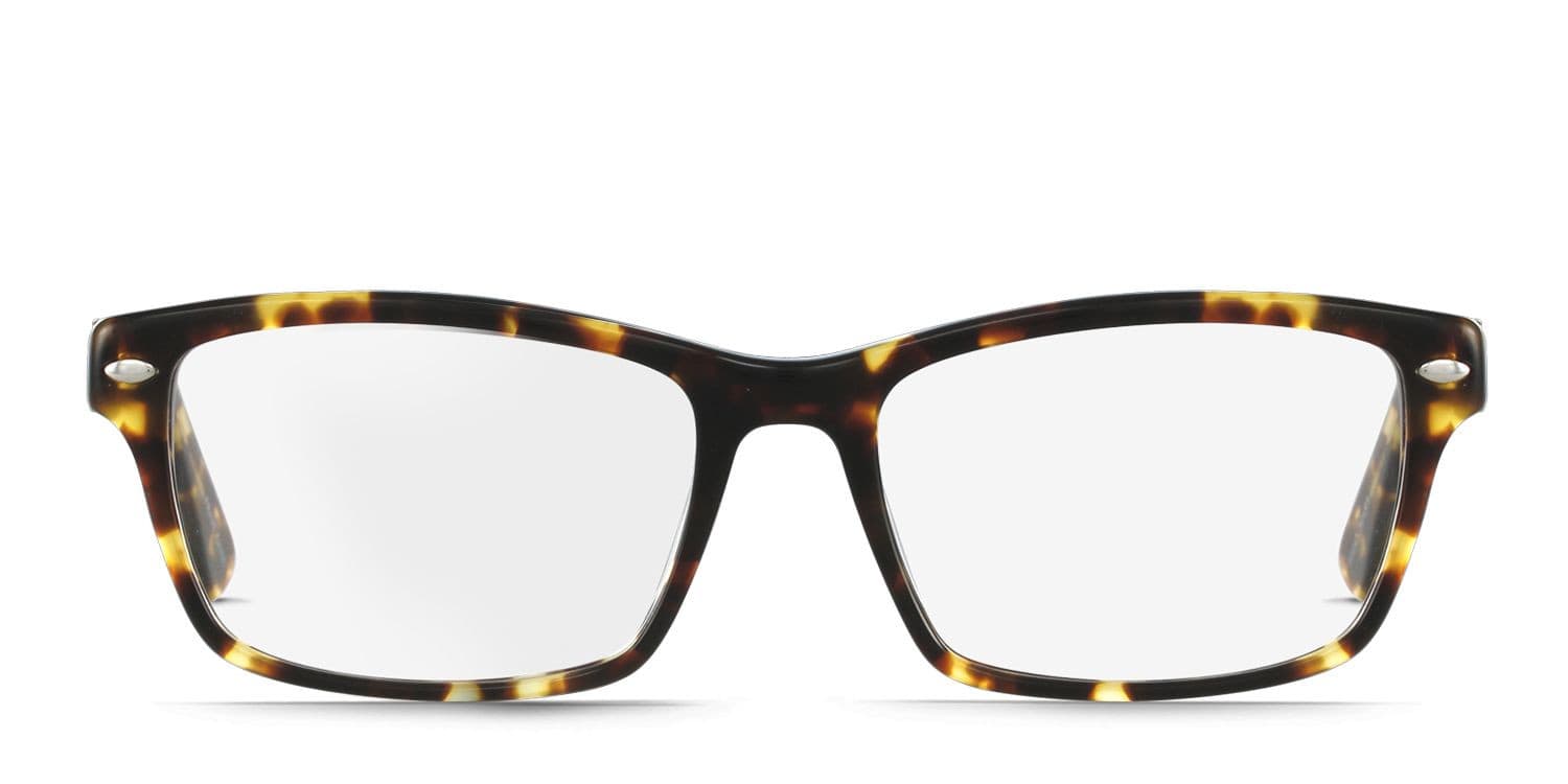 Hayworth Tortoise glasses - Tortoise - Frontal View