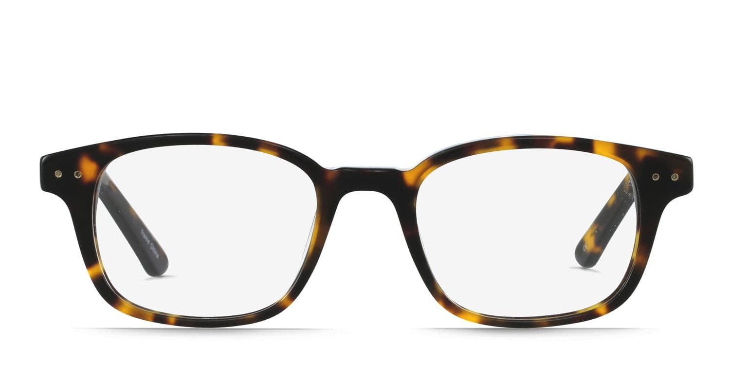 Allen Tortoise glasses - Tortoise - Frontal View