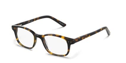Allen Tortoise glasses - Tortoise - Angle View