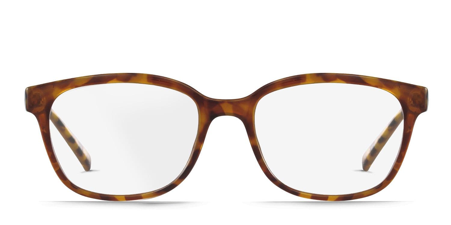 Sam Tortoise glasses - Tortoise - Frontal View