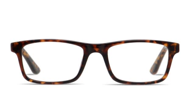 Ottoto Ellsworth Tortoise Eyeglasses | Includes FREE Rx Lenses