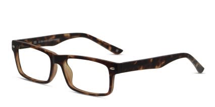 Muse Wisdom Tortoise glasses - Tortoise - Angle View