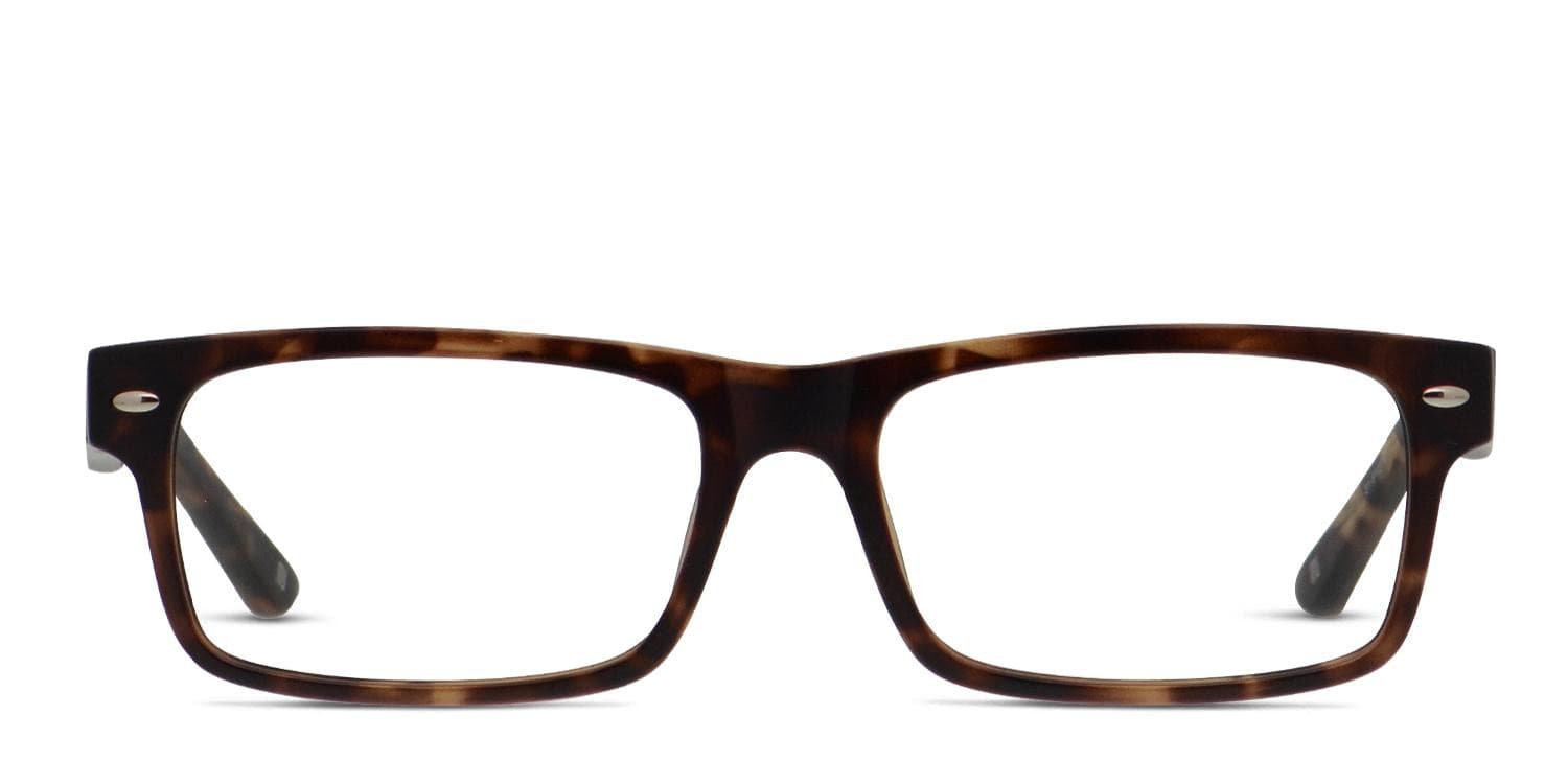 Muse Wisdom Tortoise glasses - Tortoise - Frontal View