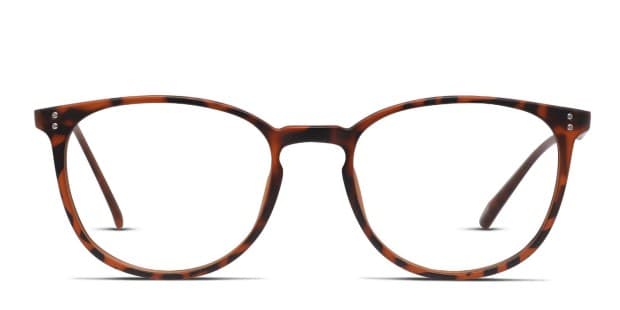 Tortoise with glasses clearance