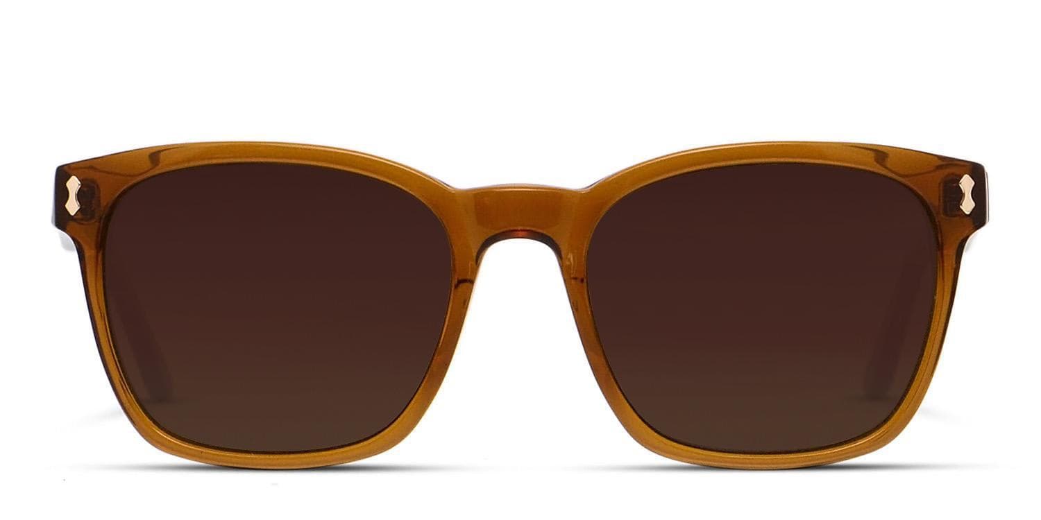 Muse Harve Brown, Clear glasses - Brown / Clear - Frontal View