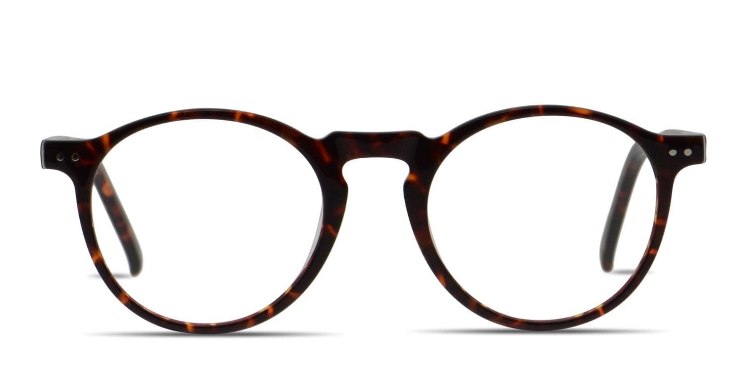 Muse Darian Tortoise w/Clip-on glasses - Tortoise - Frontal View