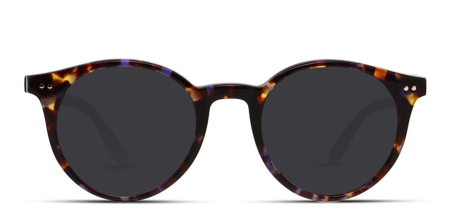 Muse Mayhew Tortoise/Purple glasses - Tortoise / Purple - Frontal View