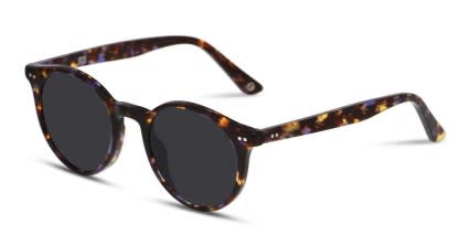 Muse Mayhew Tortoise/Purple glasses - Tortoise / Purple - Angle View