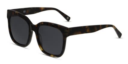 Muse Etna Tortoise glasses - Tortoise - Angle View