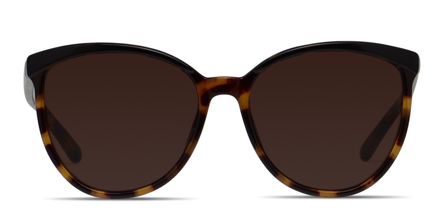 Amelia E. Alexis Black, Tortoise glasses - Black / Tortoise - Frontal View