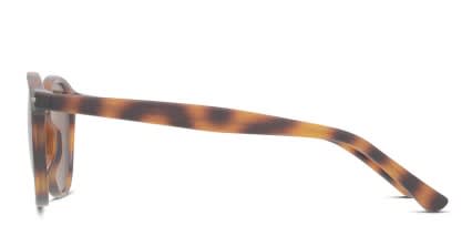 Muse Joseph Tortoise glasses - Tortoise - Side View