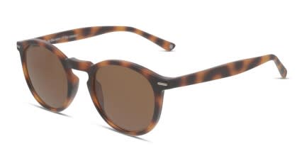 Muse Joseph Tortoise glasses - Tortoise - Angle View