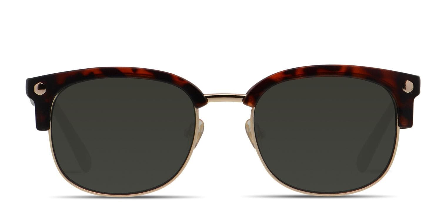 Muse Elliot Tortoise, Gold glasses - Tortoise / Gold - Frontal View