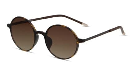 Villeneuve Tortoise/Brown glasses - Tortoise / Brown - Angle View