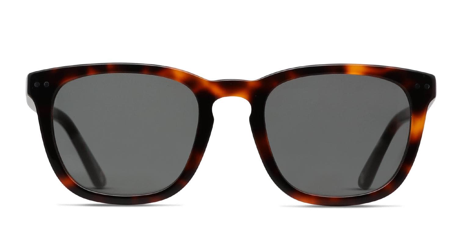 Muse Optimum Brown, Tortoise Prescription Sunglasses - 50% Off Lenses