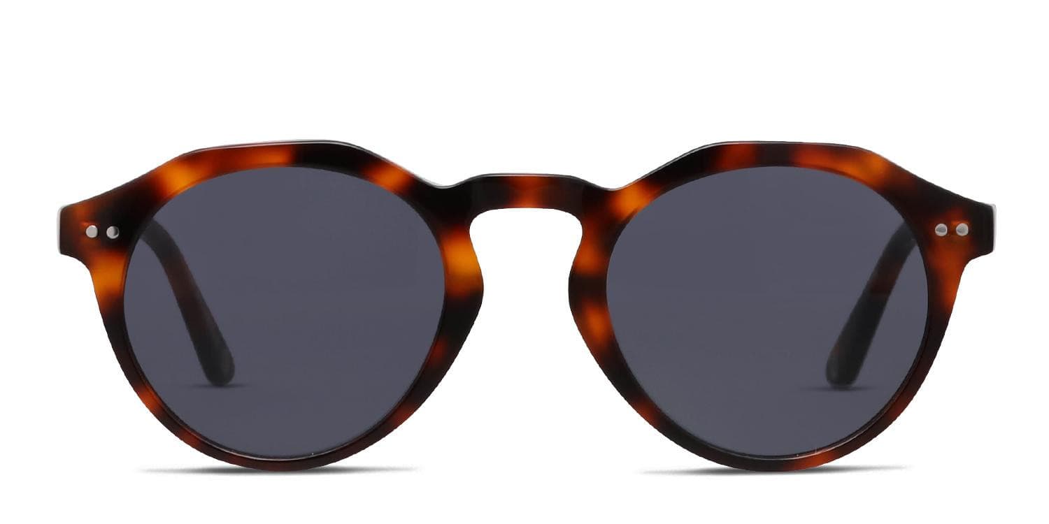 Muse Brody Brown, Tortoise glasses - Brown / Tortoise - Frontal View