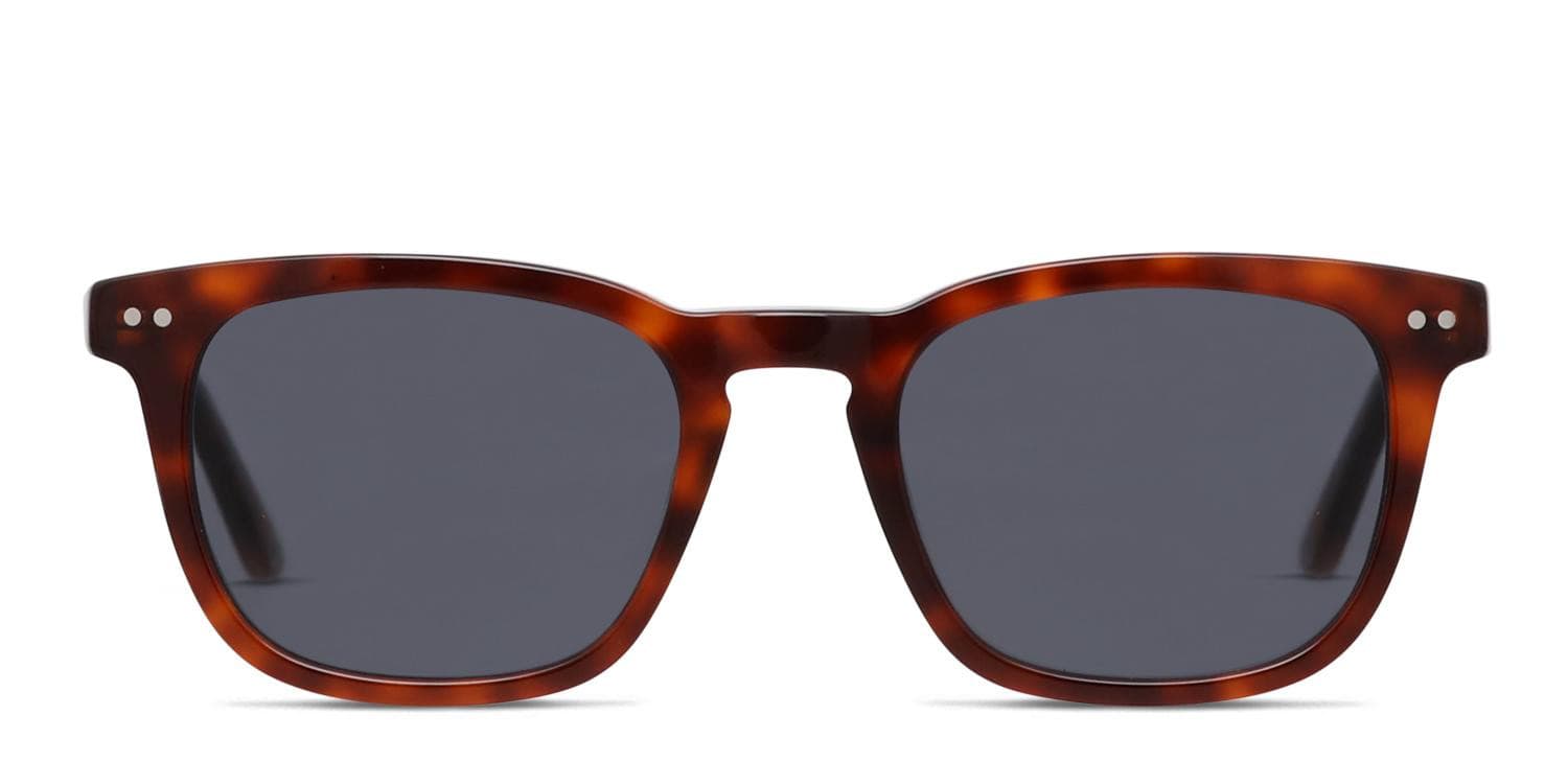 Muse Quint Brown, Tortoise Prescription Sunglasses - 50% Off Lenses