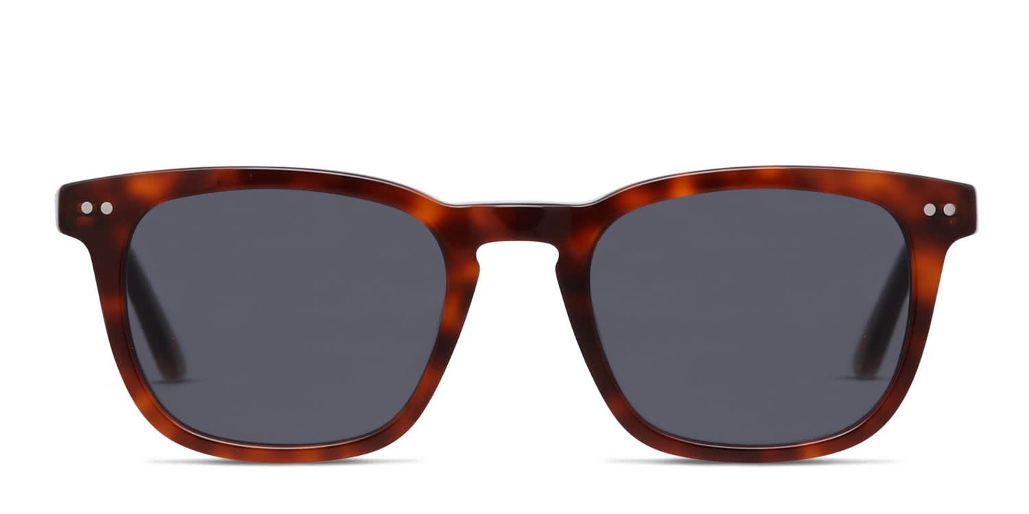 Muse Quint Brown, Tortoise Prescription Sunglasses - 50% Off Lenses