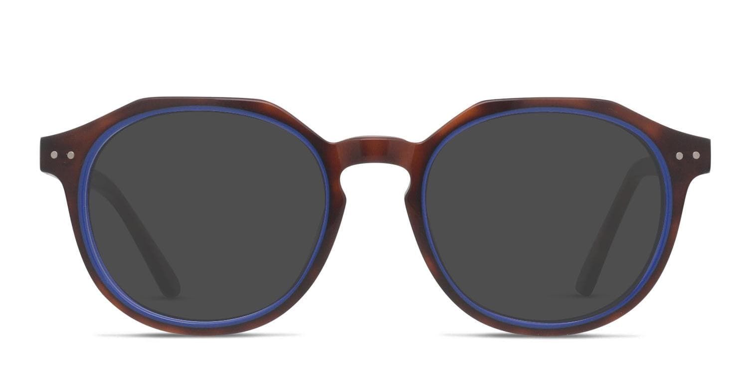 Muse Apex Tortoise, Blue glasses - Tortoise / Blue - Frontal View
