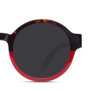 frame