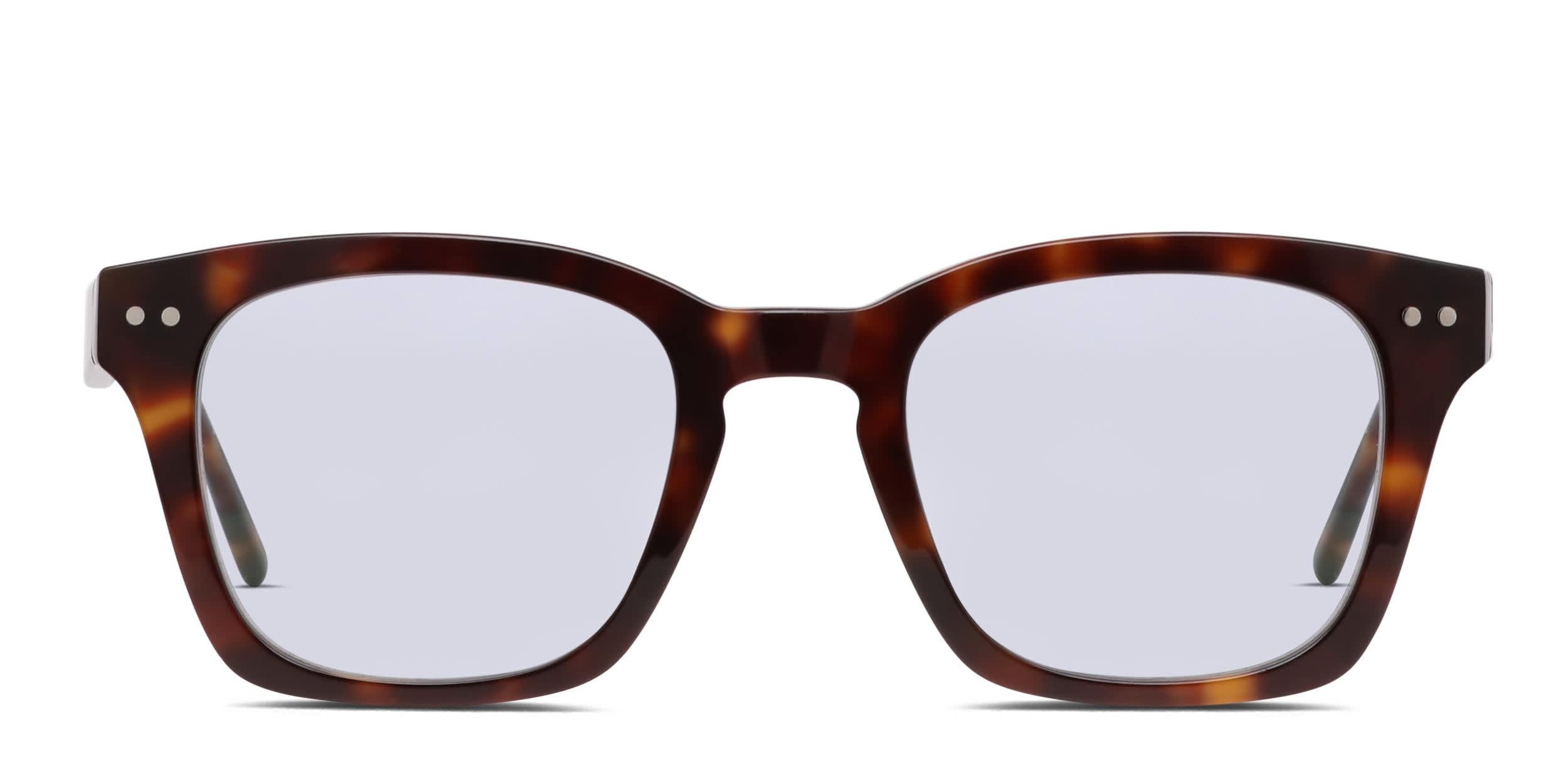 Muse Williams Tortoise, Blue glasses - Blue / Tortoise - Frontal View