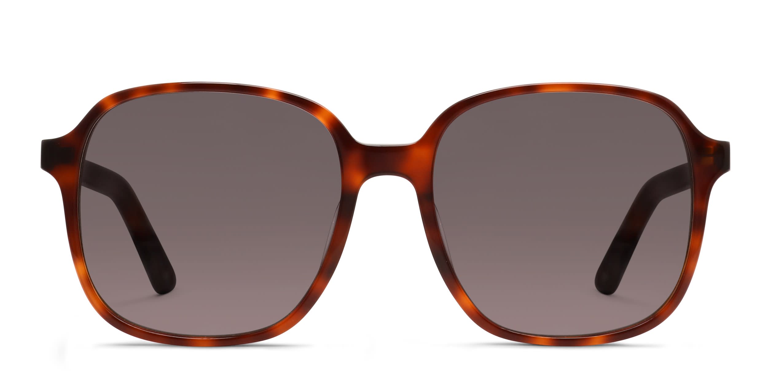 Amelia E. Moonlit Tortoise glasses - Tortoise - Frontal View