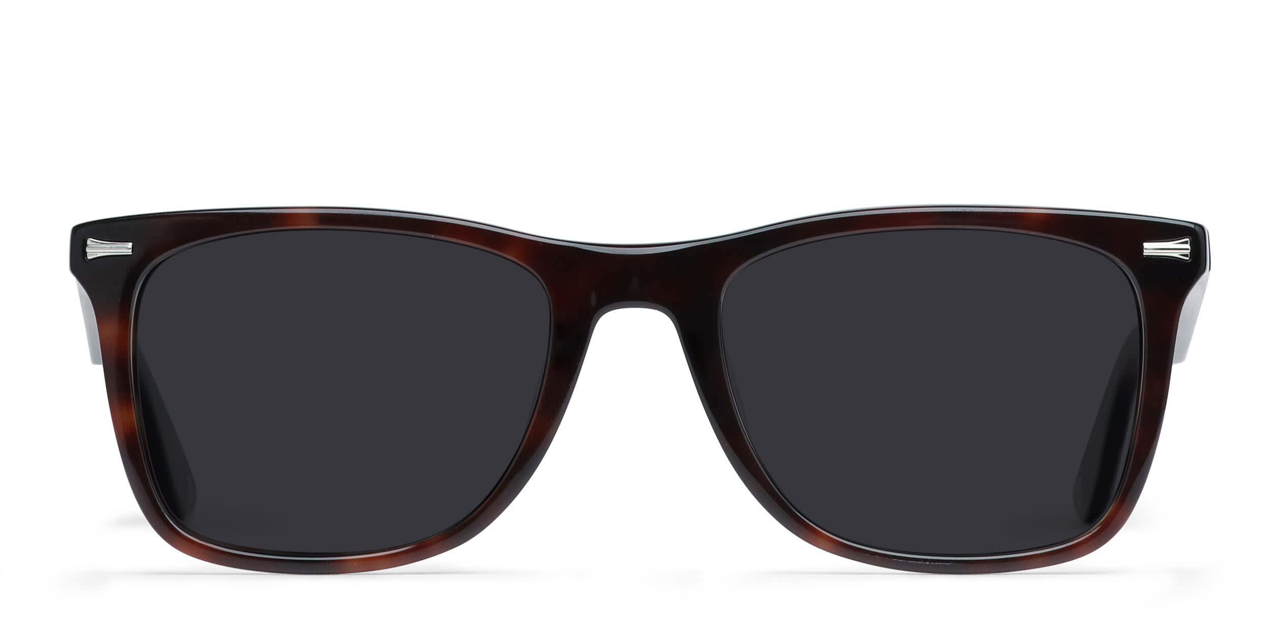 Muse Quint Brown, Tortoise Prescription Sunglasses - 50% Off Lenses
