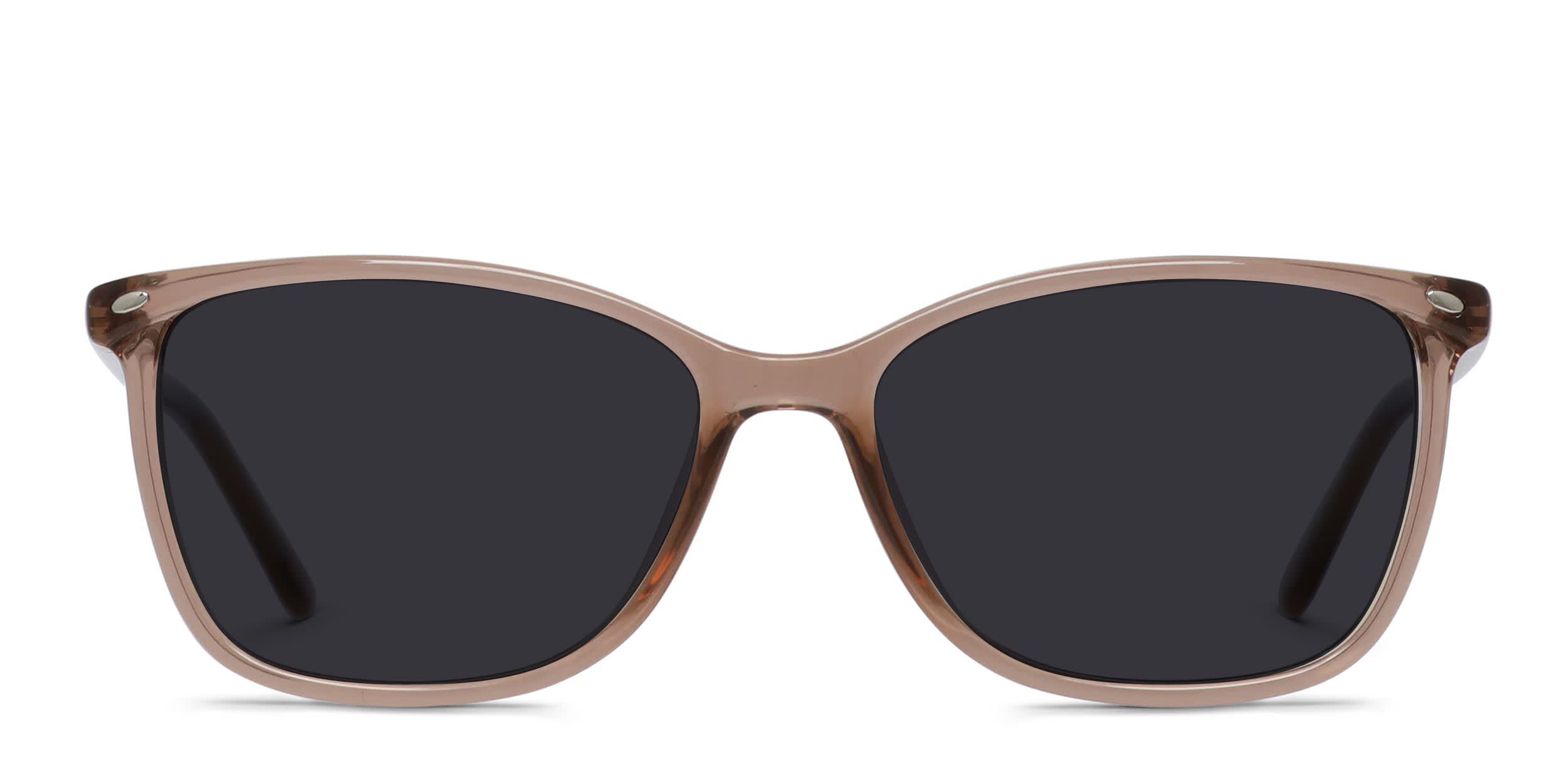 Amelia E. Nettle Brown, Clear glasses - Brown / Clear - Frontal View