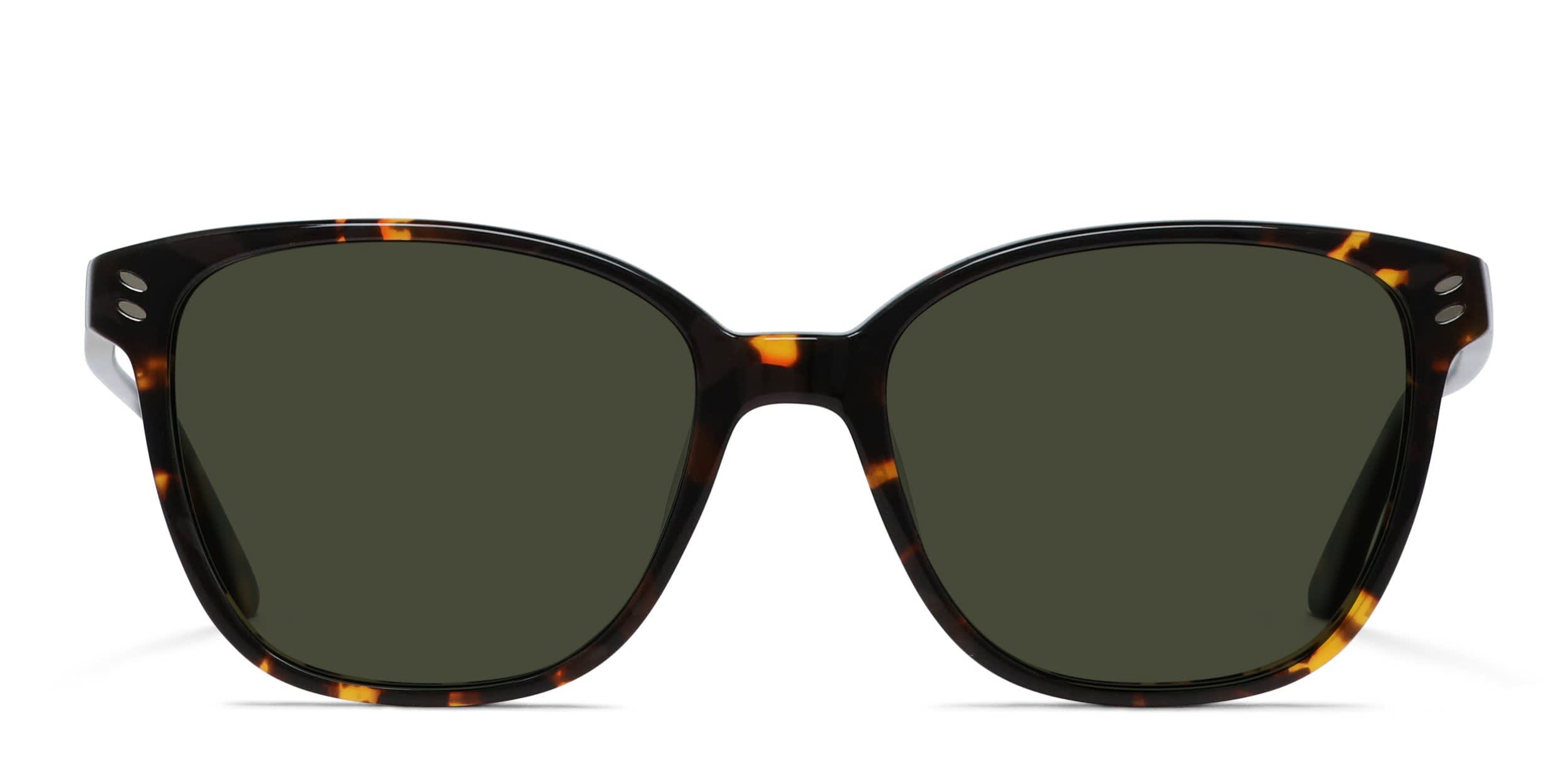 Amelia E. Chardonnay Tortoise, Brown glasses - Brown / Tortoise - Frontal View